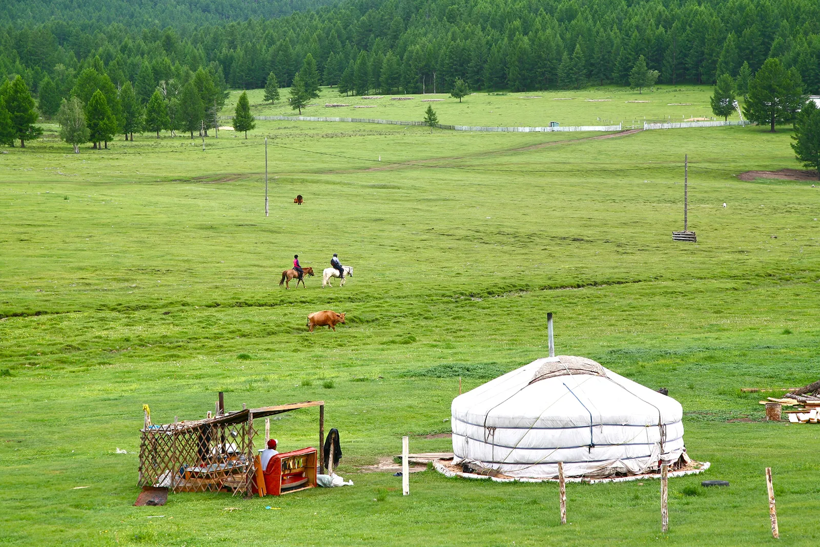 特勒吉國家公園蒙古包